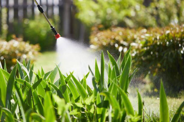 24/7 Emergency Fumigation Services experts in University of Pittsburgh Johnstown, PA