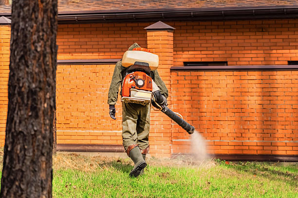 Trusted Bed Bug Control service in University of Pittsburgh Johnstown, PA - Nex Pest Control